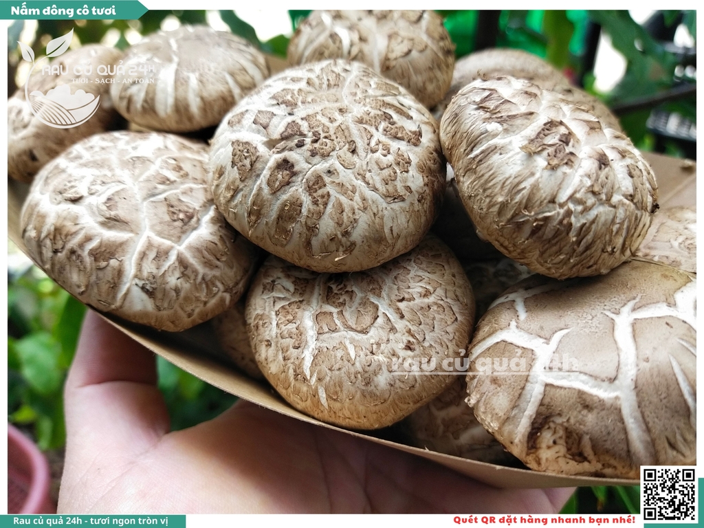 Nấm đông cô tươi khoảng 175g