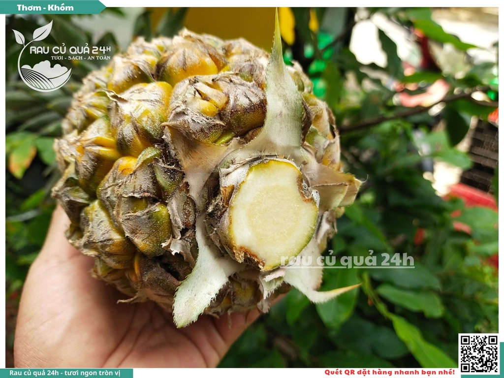 Quả thơm trái lớn