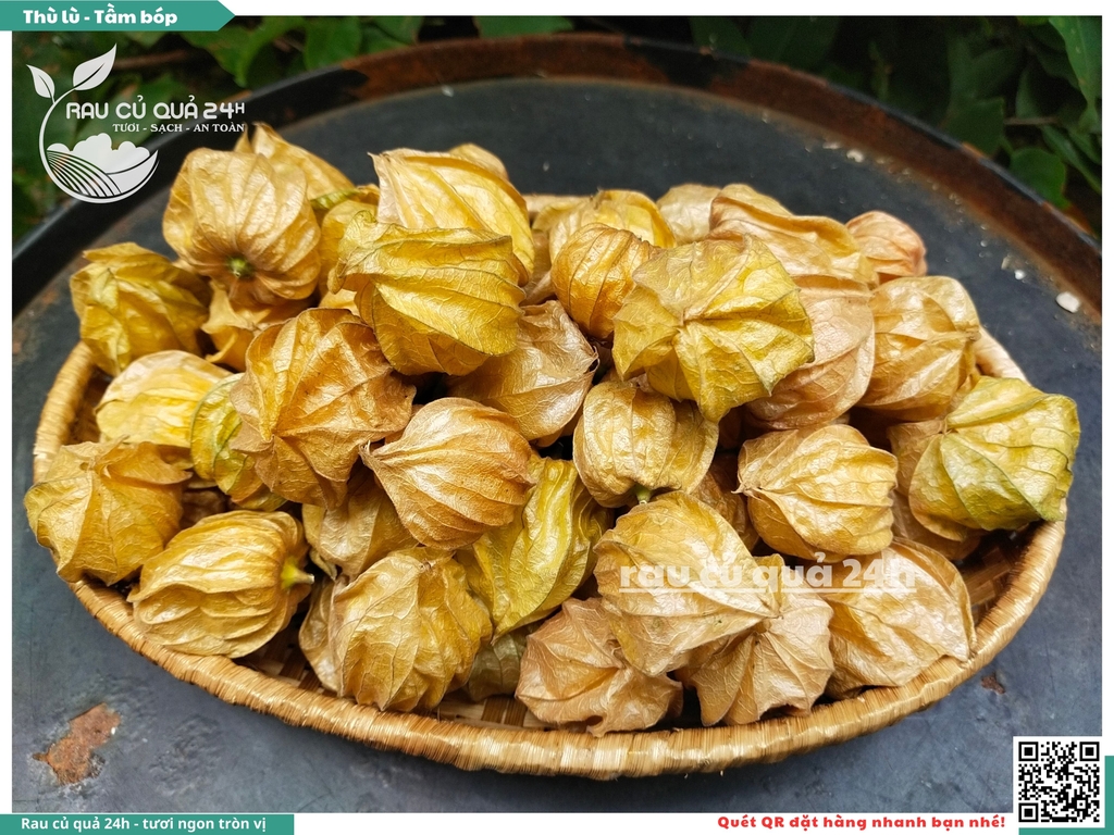 Thù lù - Tầm bóp Nam mỹ 300g