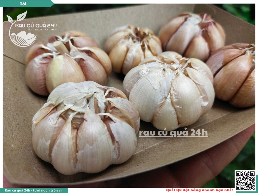 Củ Tỏi tép lớn khoảng 90g