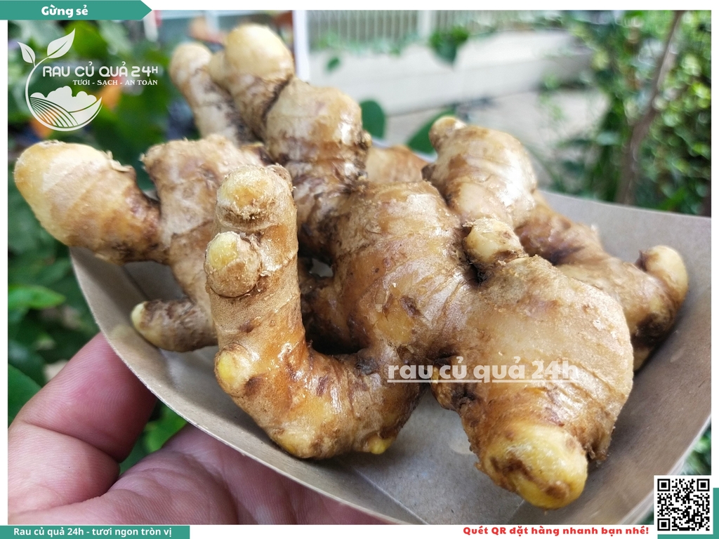 Củ Gừng sẻ 80g