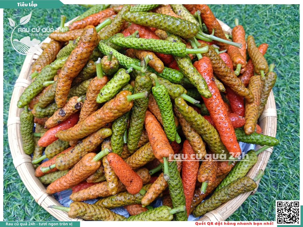 Hạt Tiêu lốp tươi