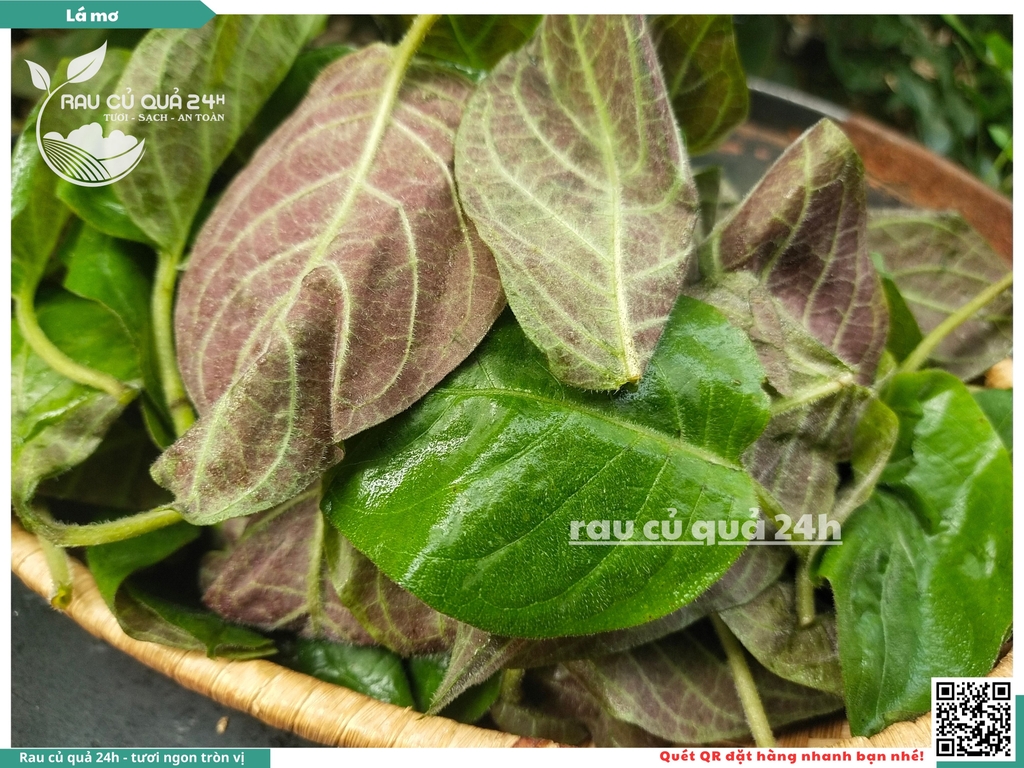 Lá mơ khoảng 100g