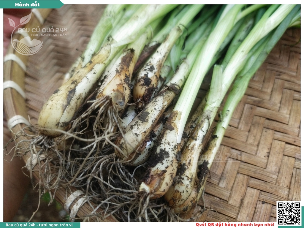 Rau nêm Hành Đất 500g