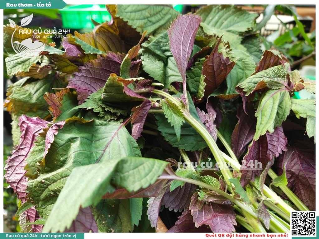 Rau thơm -  Tía tô 65g