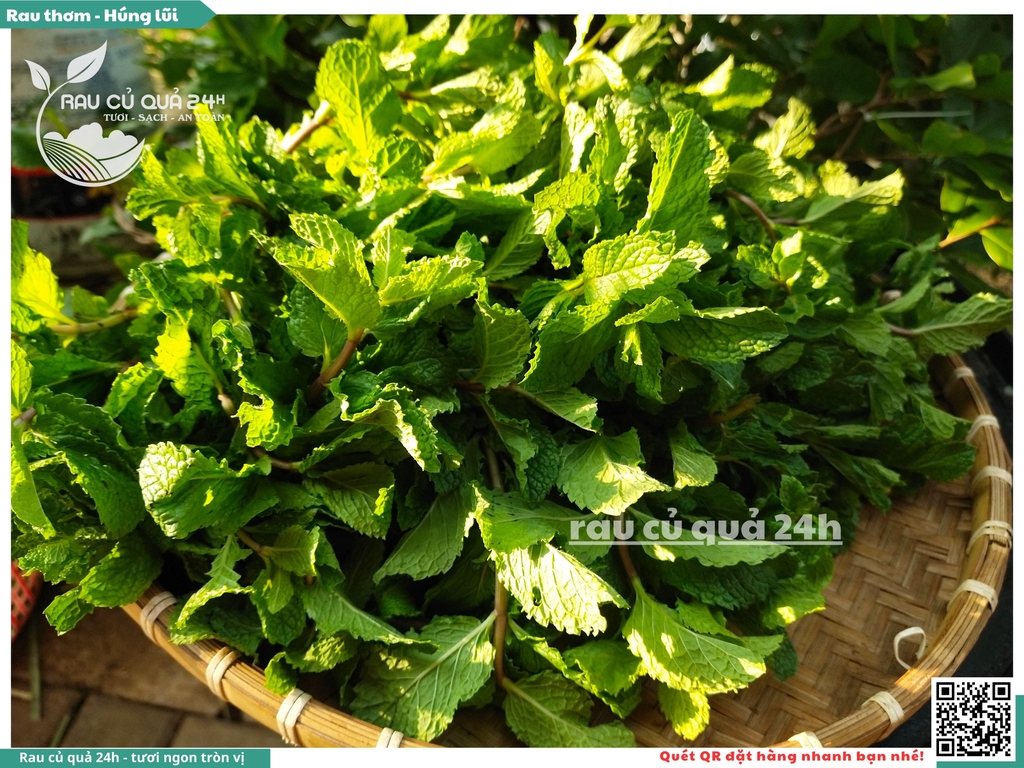 Rau thơm - Húng lũi 65g