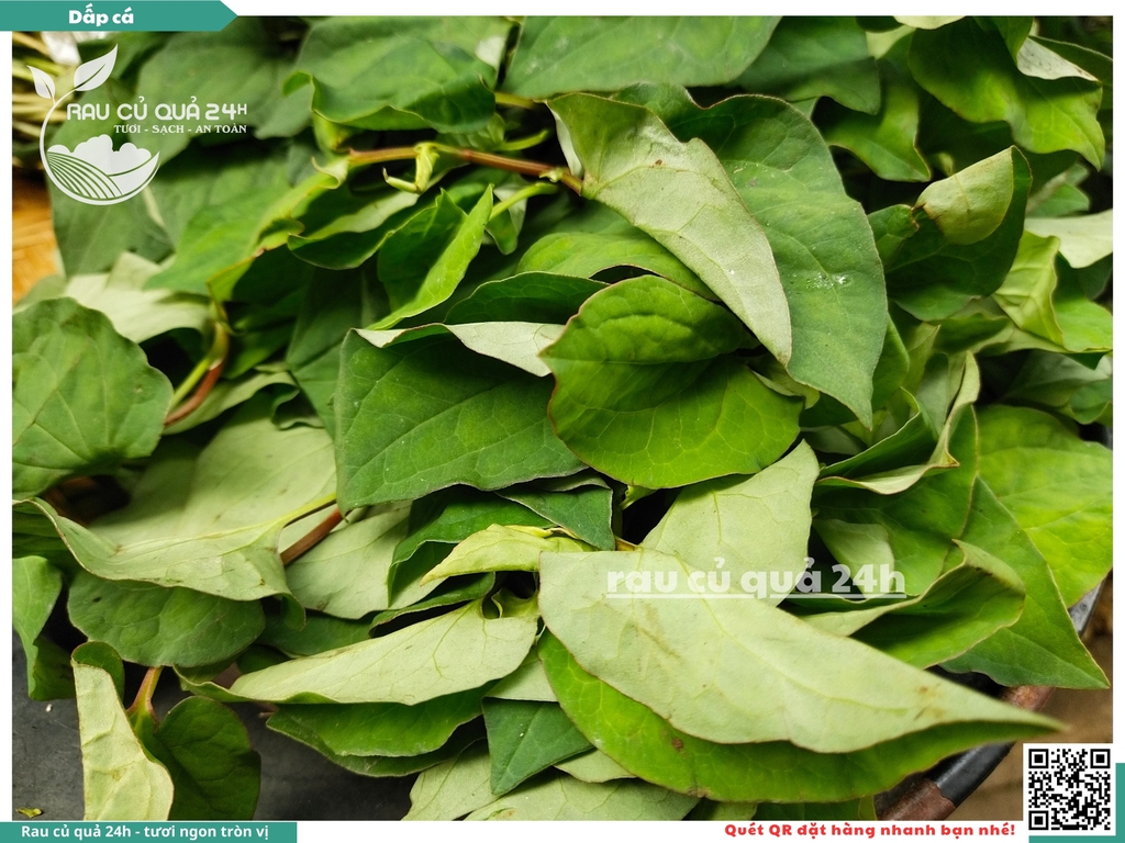 Rau thơm - dấp cá (Diếp cá) 65g