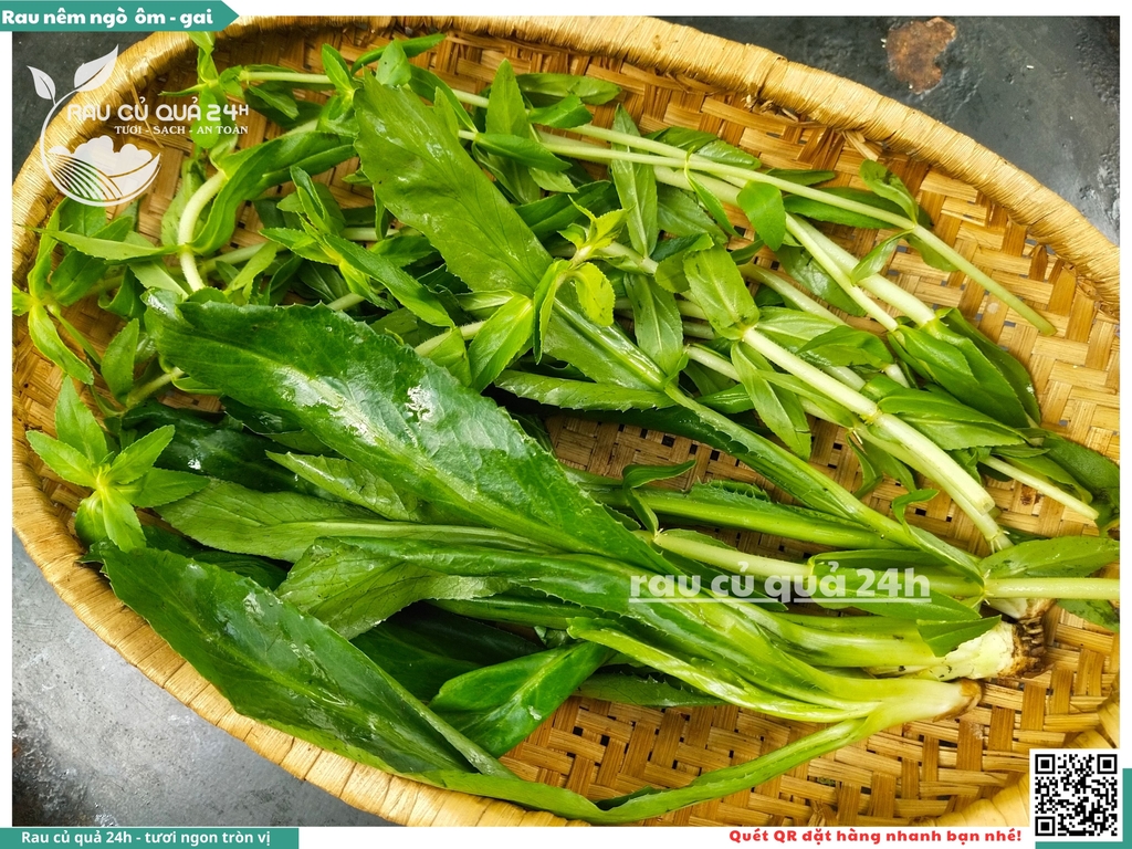 Rau Nêm Ngò ôm - Ngò gai khoảng 100g