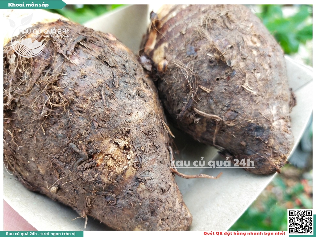 Khoai môn sáp Đà Lạt