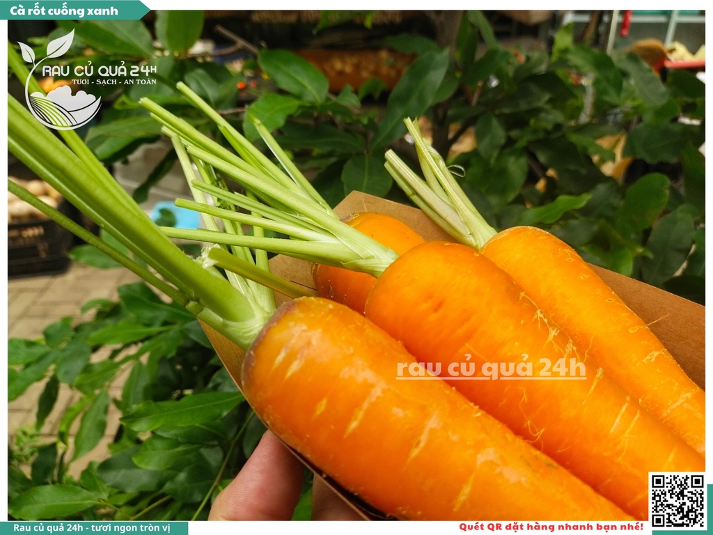 Cà rốt cuống xanh khoảng 1kg
