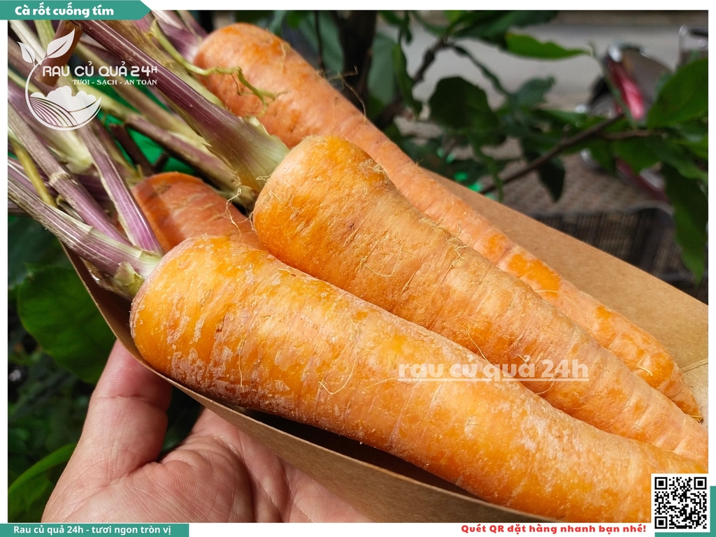 Cà rốt cuống tím khoảng 1kg