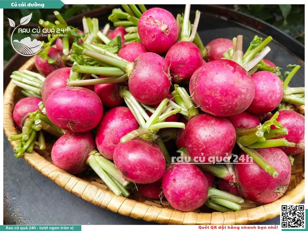 Củ cải đường