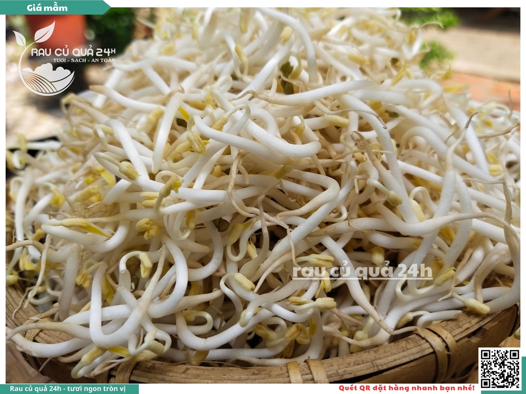 Giá mầm khoảng 200g