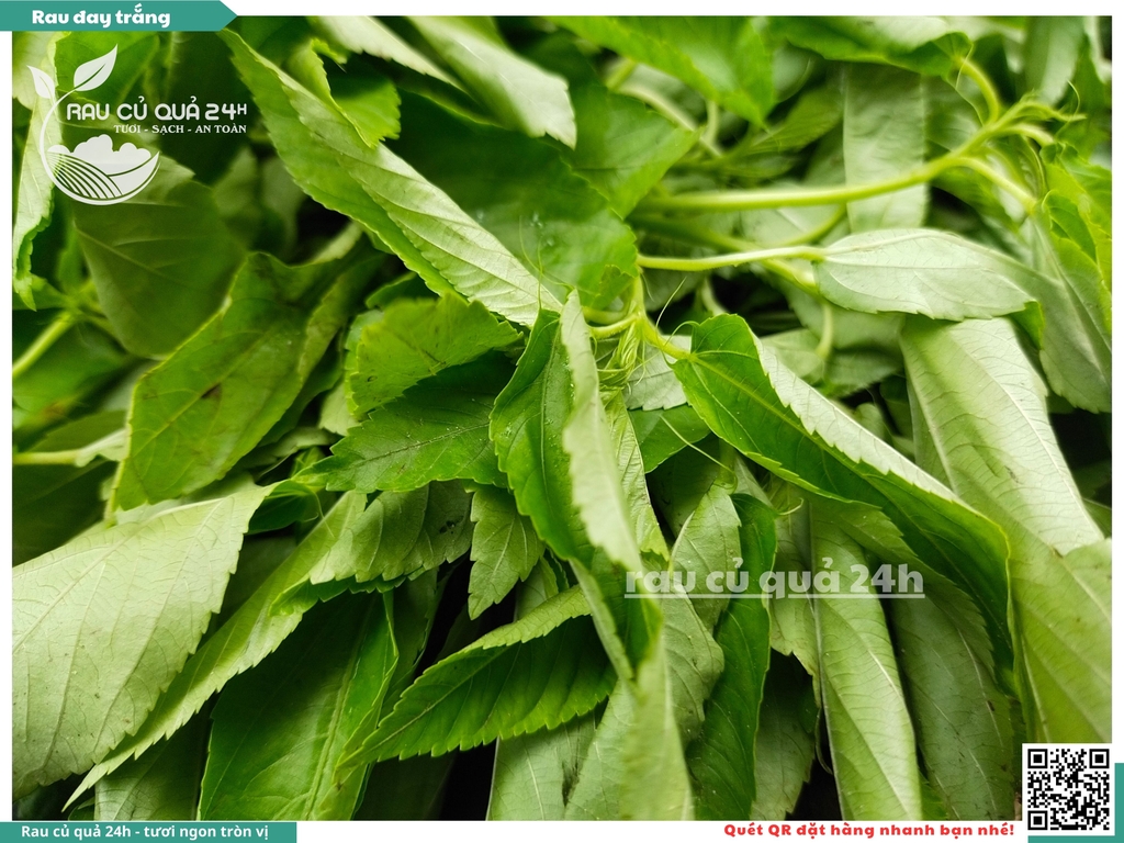 Rau đay trắng khoảng 300g