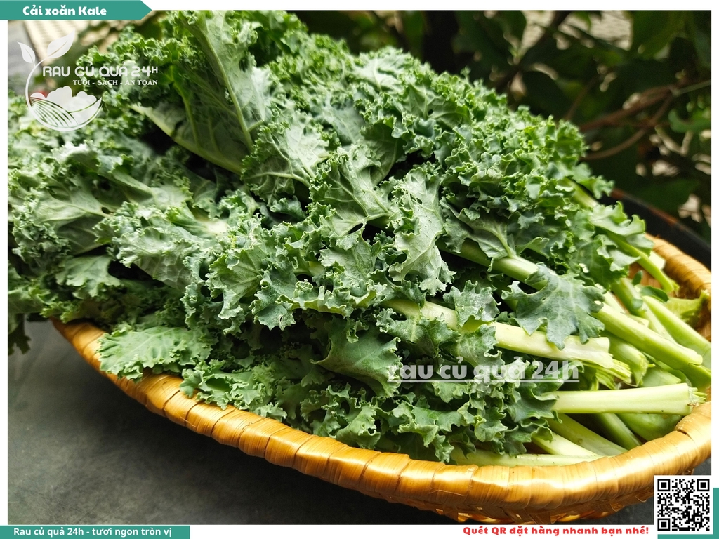 Rau Cải xoăn Kale