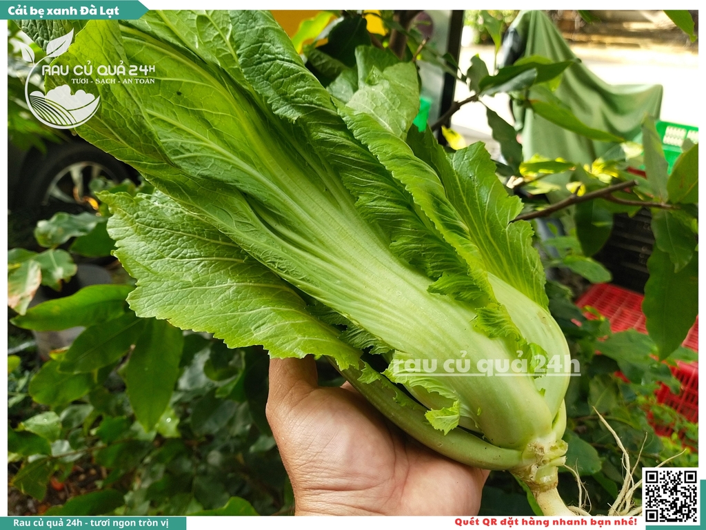 Rau Cải bẹ xanh Đà Lạt - 300g