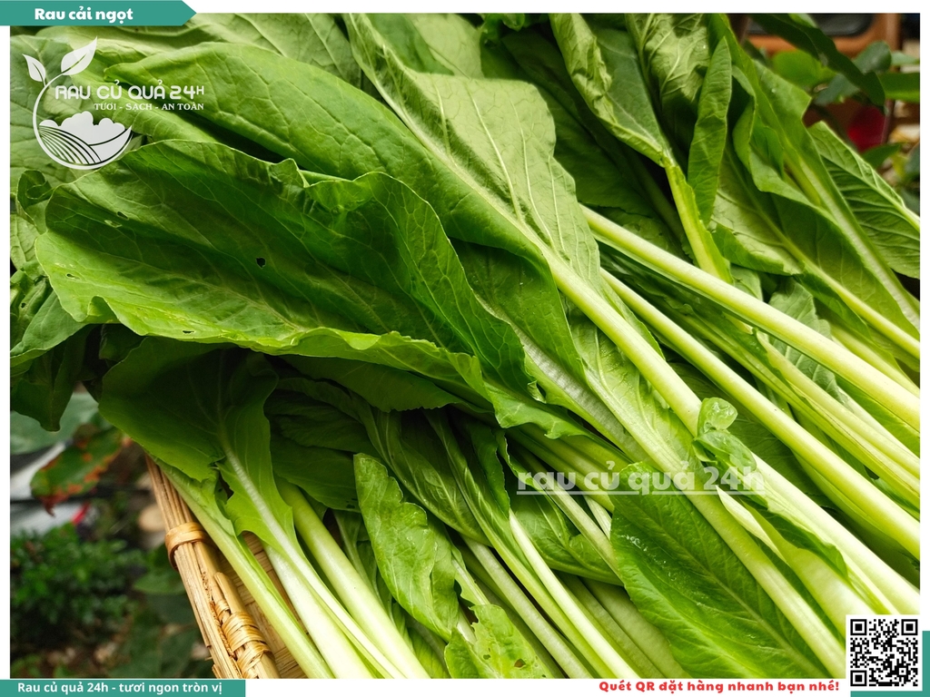 Rau Cải ngọt - 300g