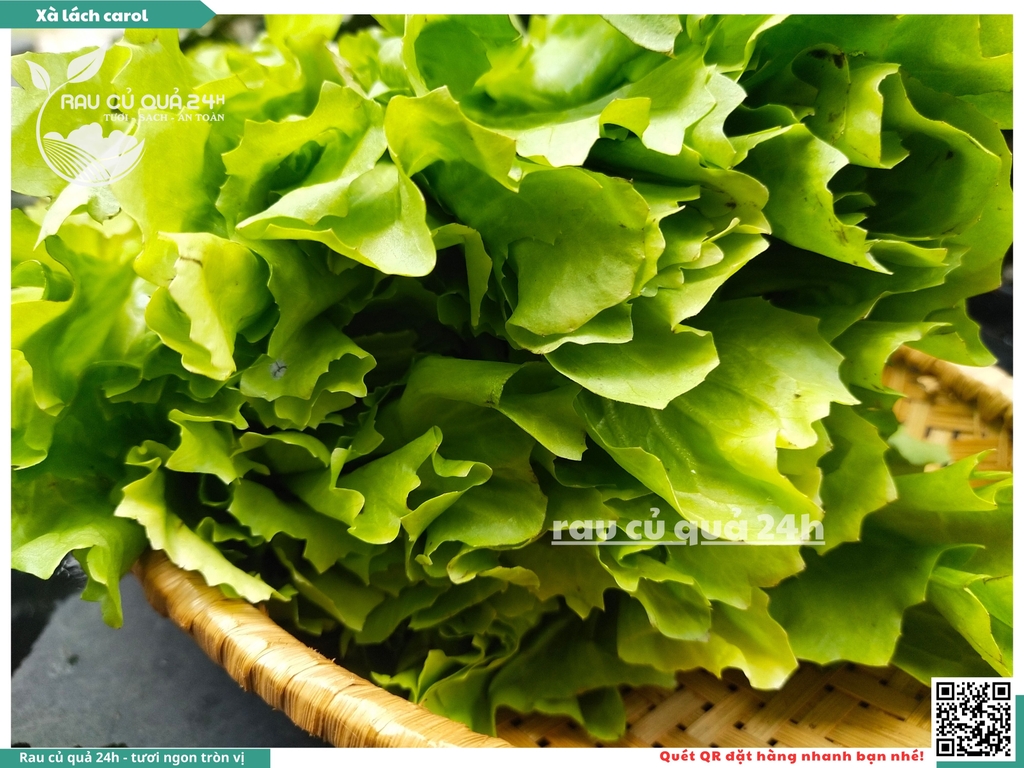 Xà lách Carol - Khoảng 300g