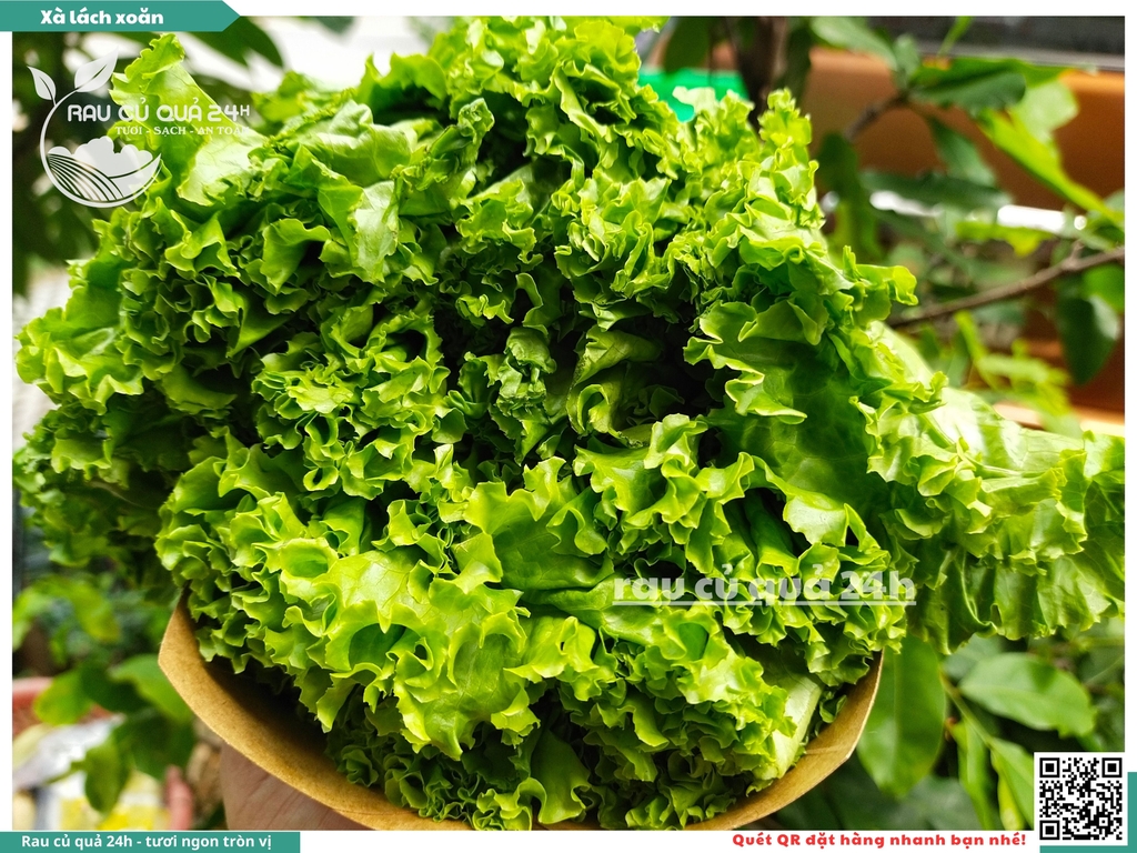 Xà lách Gai - 250g