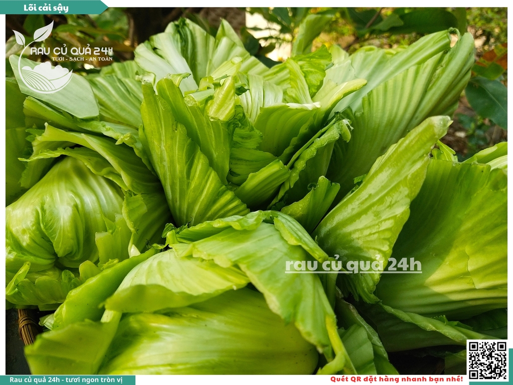 Cải sậy - cải muối dưa sơ chế