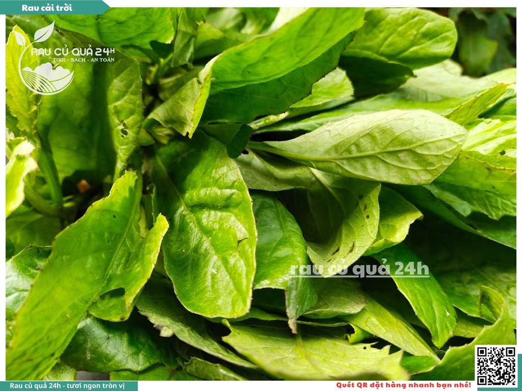 Rau cải trời khoảng 300g