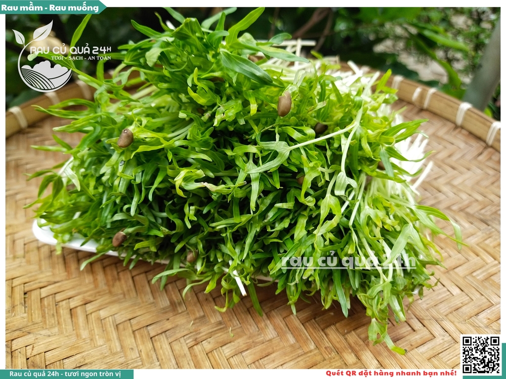 Mầm rau muống hạt khoảng 250g