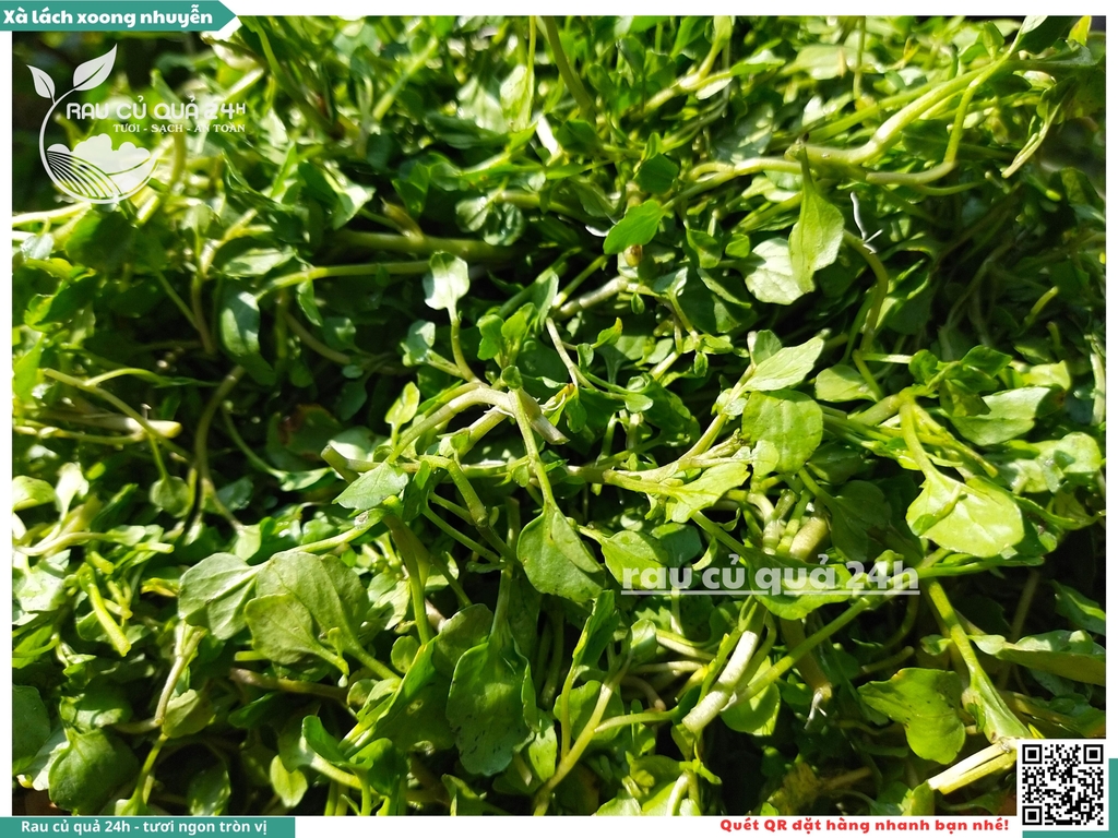 Rau xà lách xoong nhỏ (xoong nhuyễn) khoảng 250g