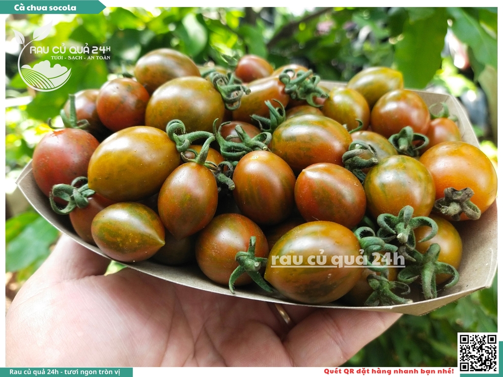 Cà chua cherry socola 250g