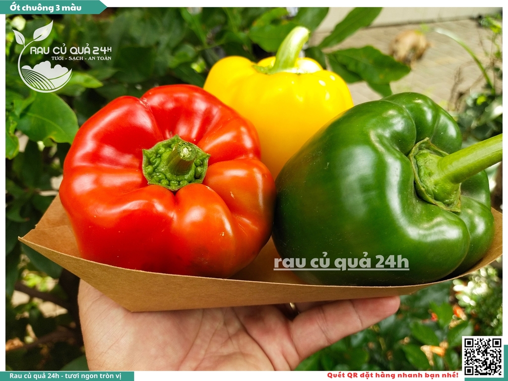 Ớt chuông ba màu khoảng 500 - 700gr