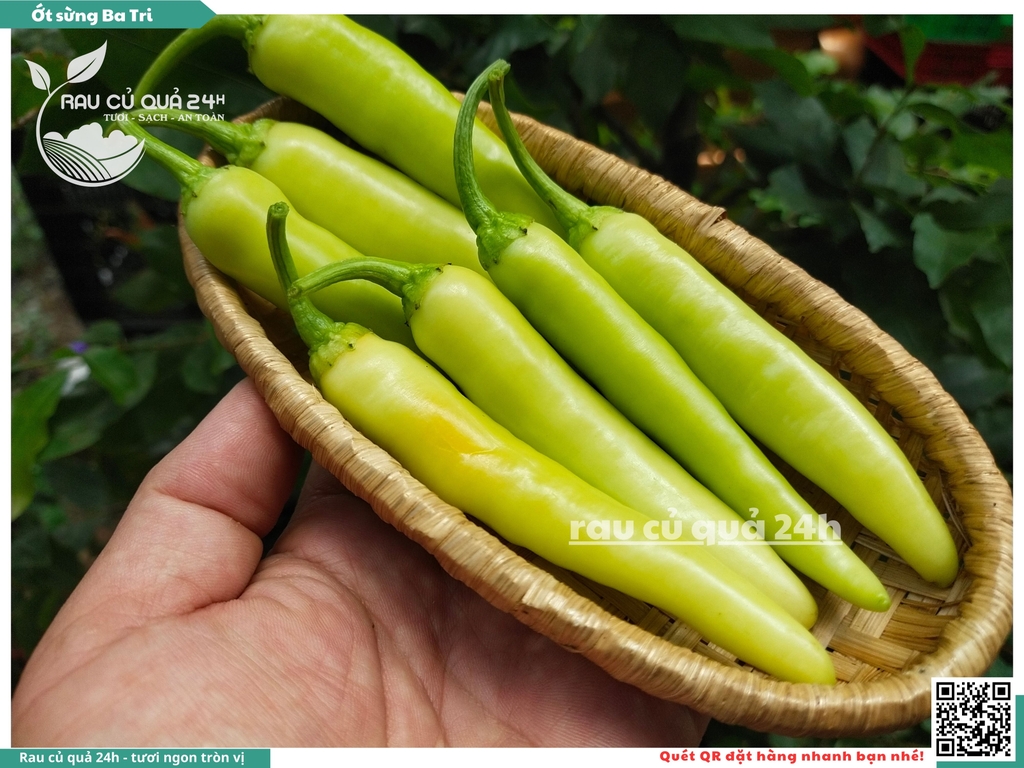 Ớt sừng Ba tri 45g