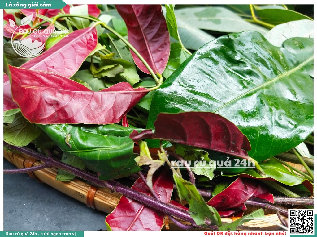 Combo Lá xông giải cảm