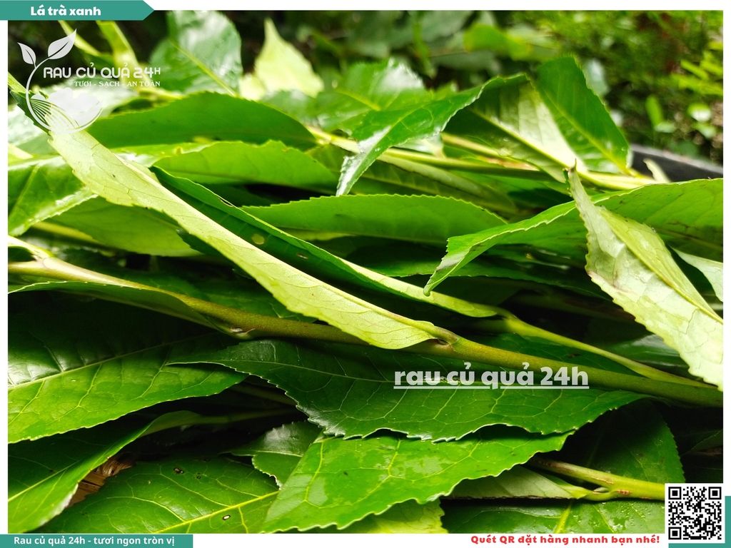 Lá trà xanh 200g