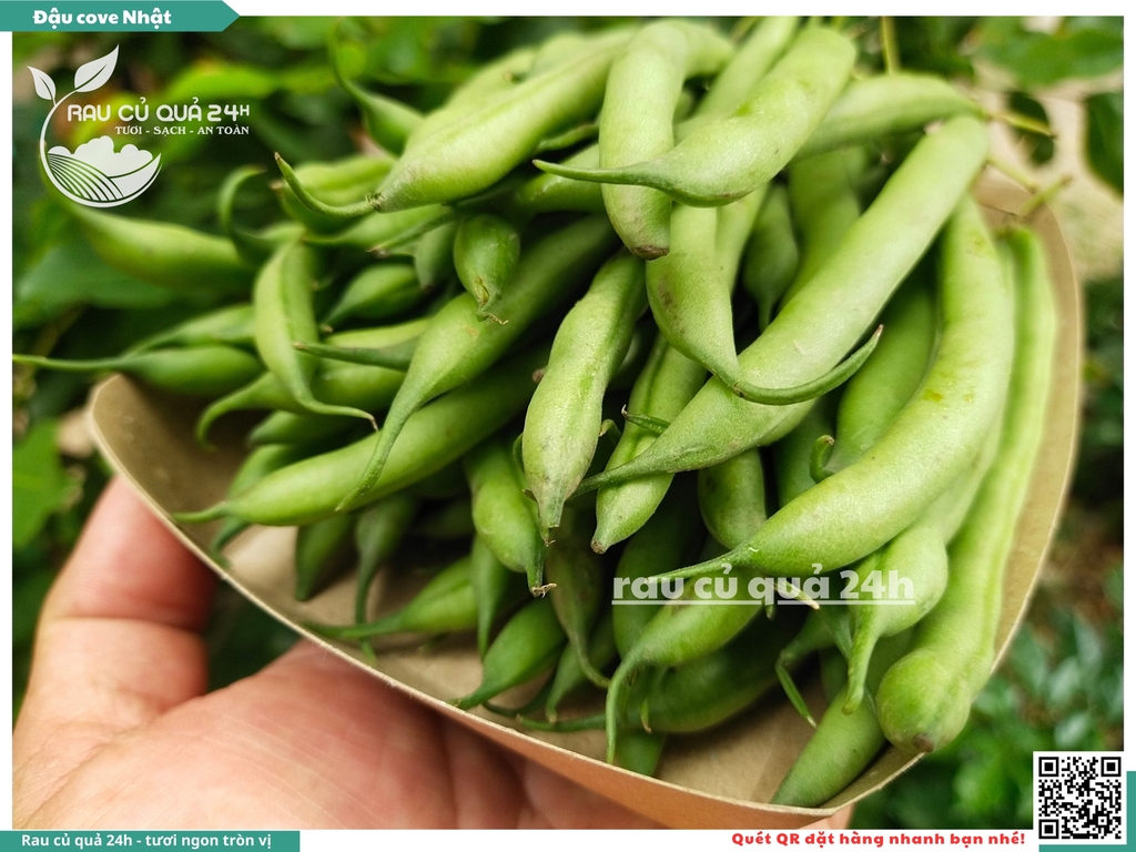 Quả Đậu Cove Nhật - 400g