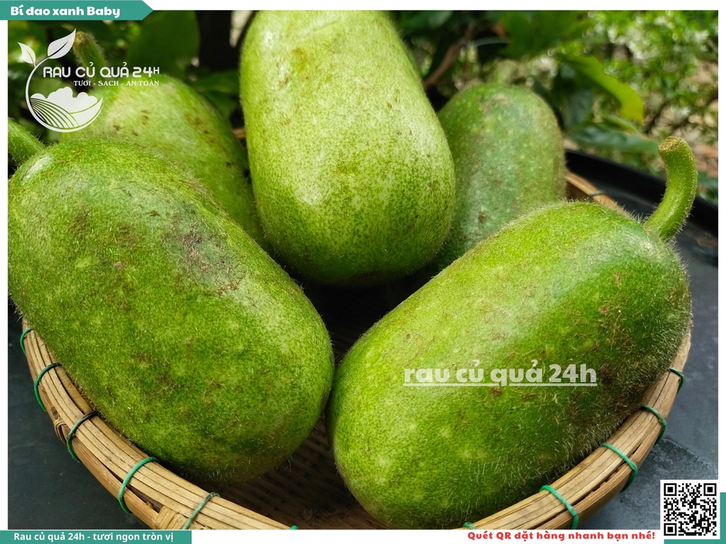 Quả Bí đao xanh baby - 2 trái