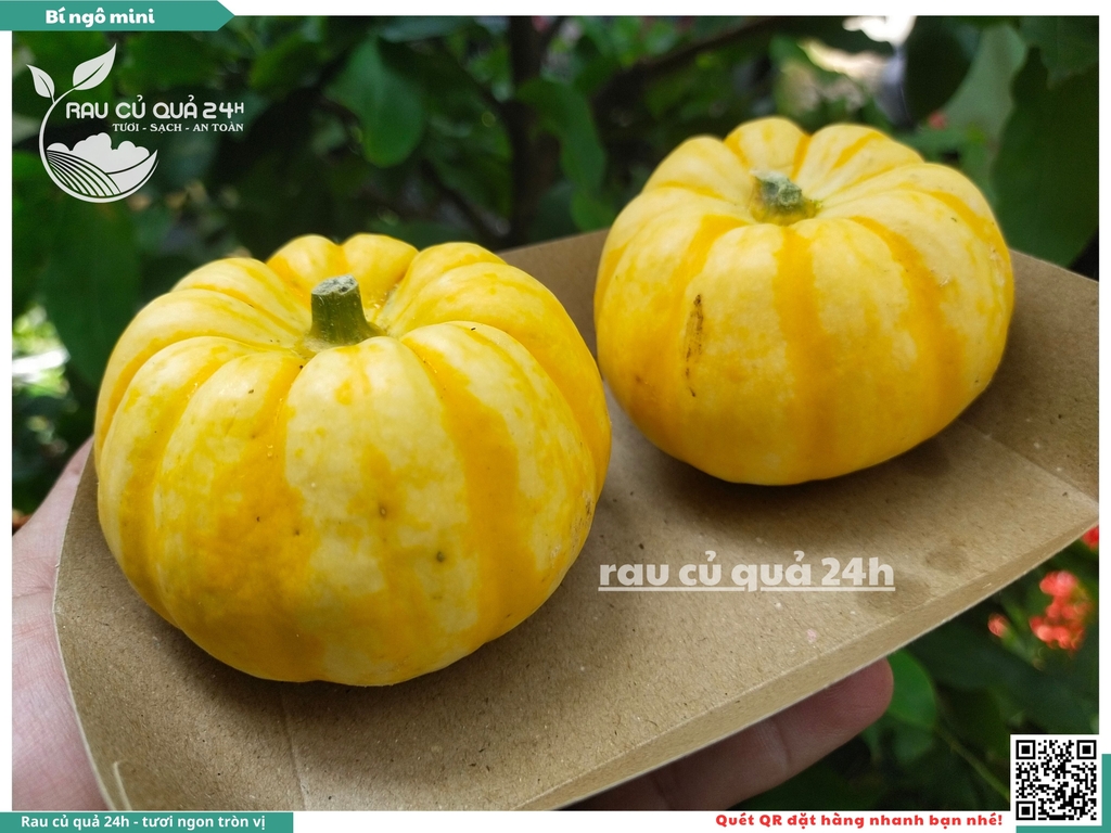 Bí ngô mini vàng 1 quả khoảng 200g