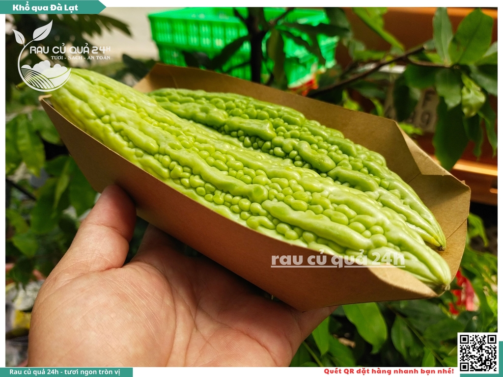Quả Khổ qua Đà Lạt - 3 quả