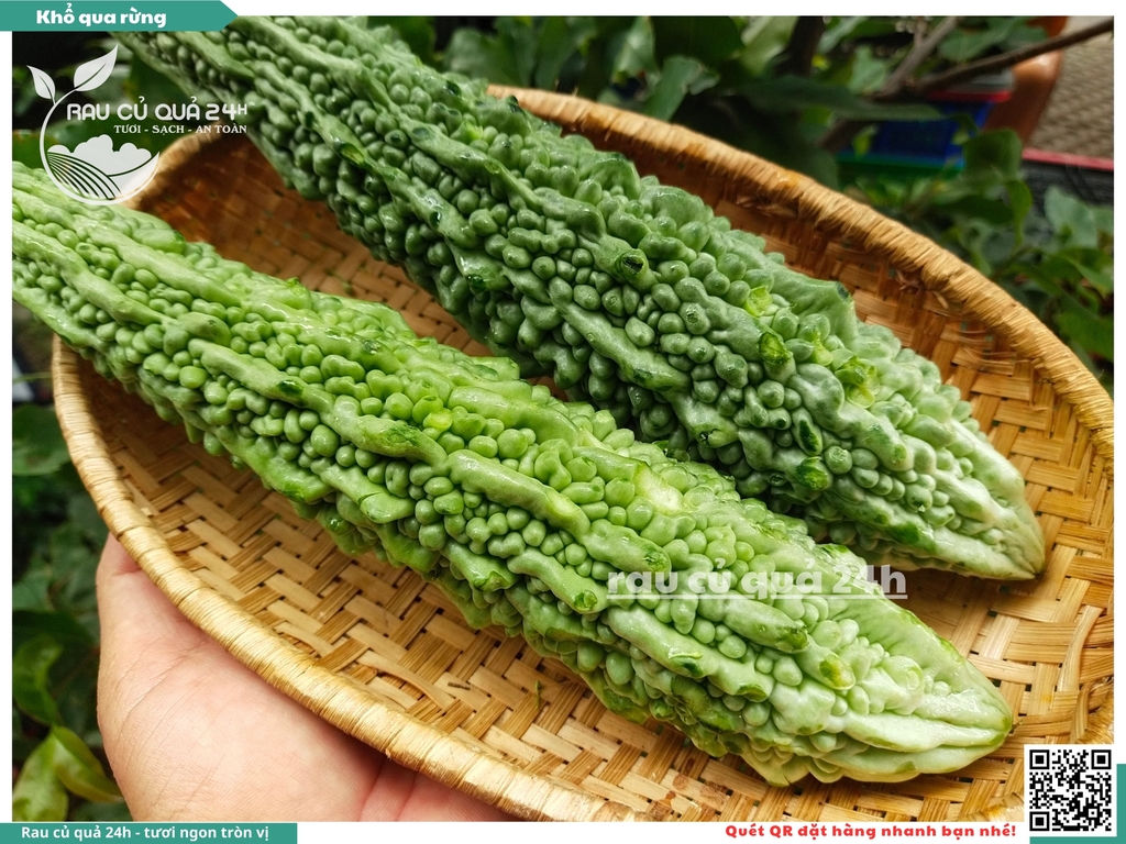 Quả Khổ qua rừng - 2 quả