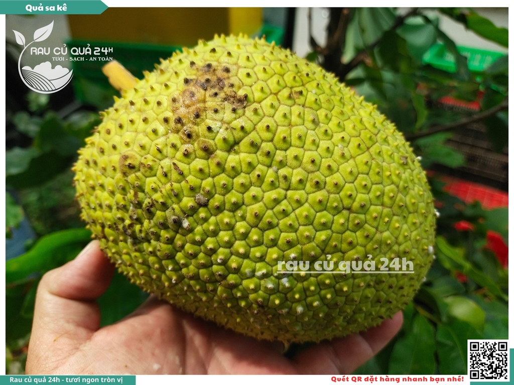 Quả Sa kê - 1 quả