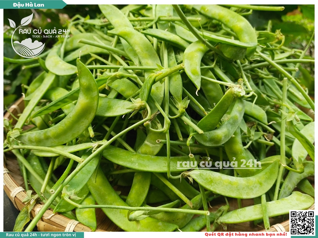 Đậu hà lan trái - 170g