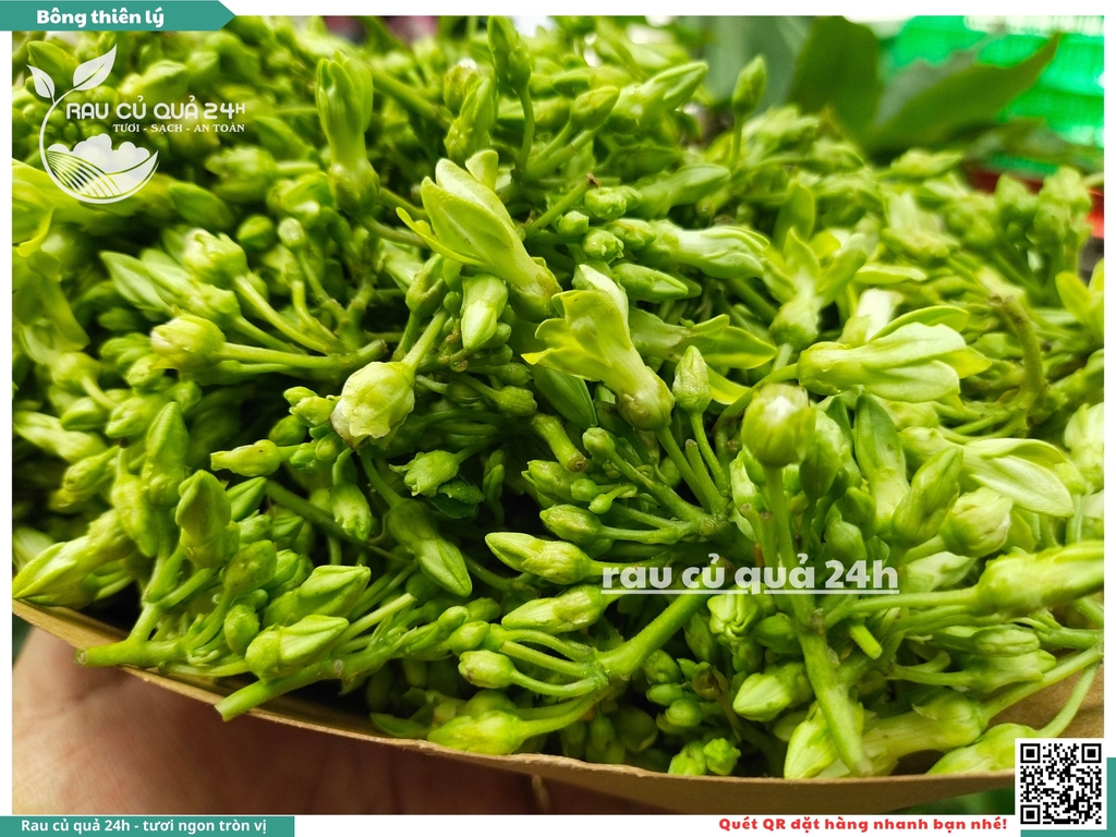 Bông thiên lý 250g