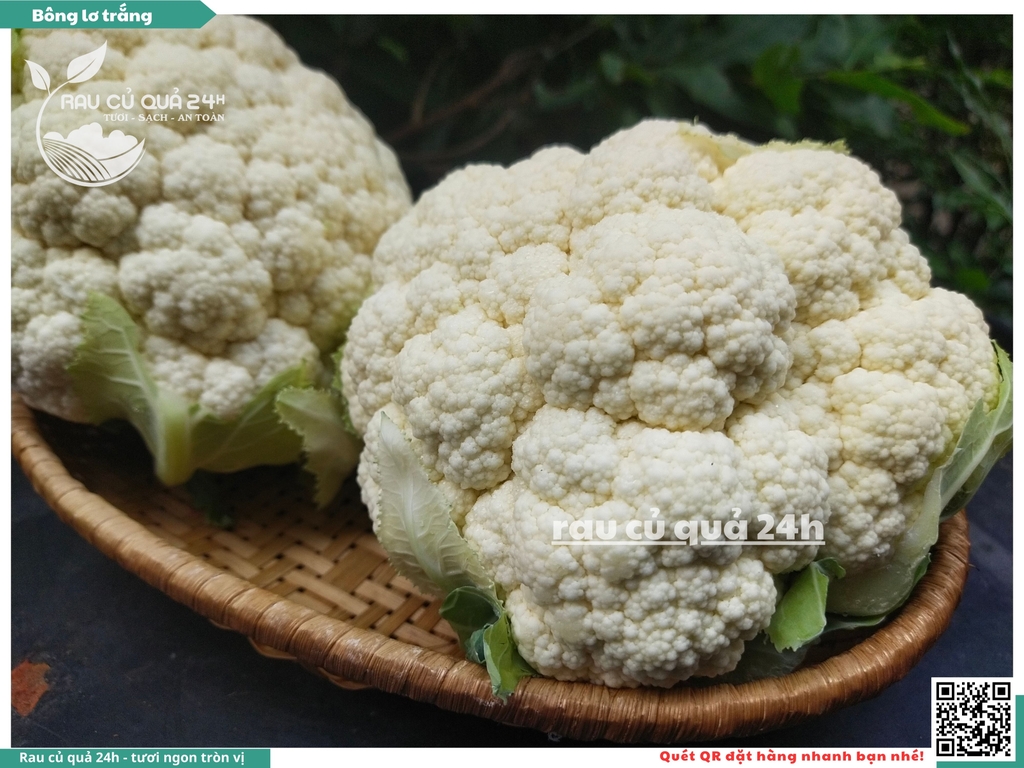 Bông lơ trắng 1 bông