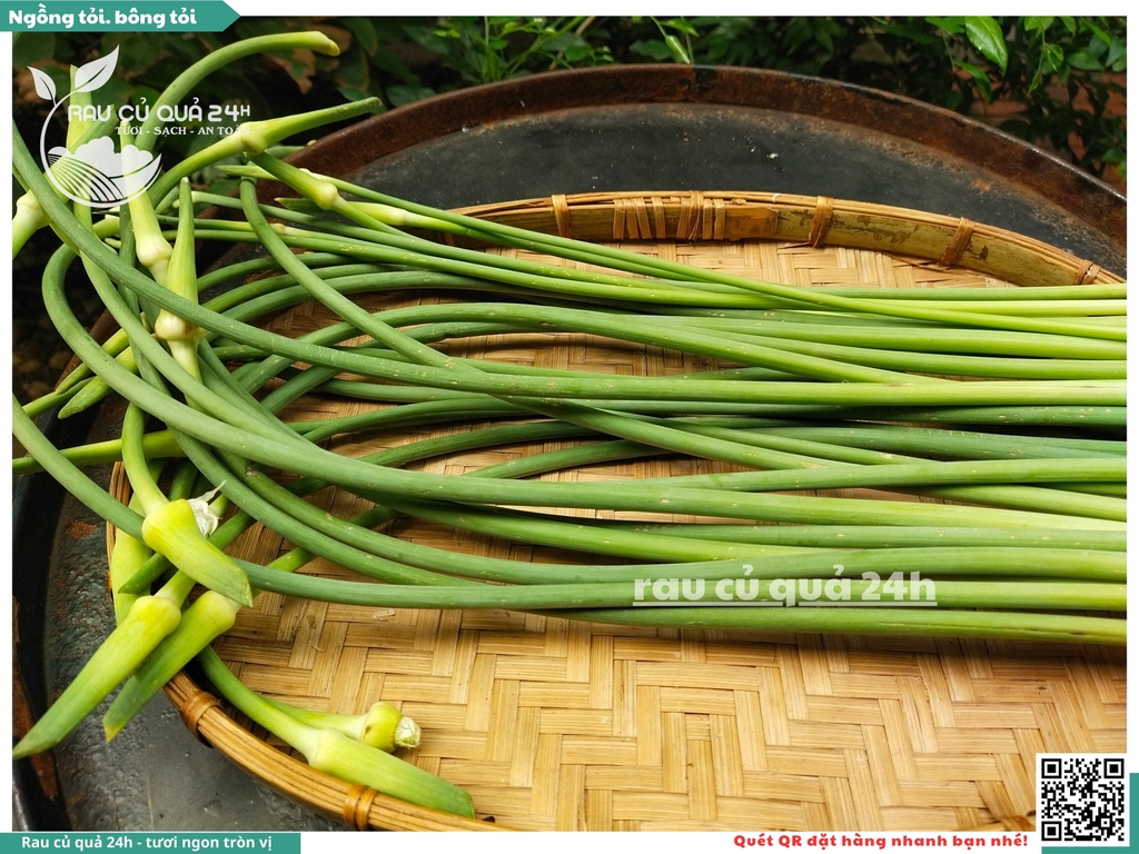 Ngồng tỏi, bông tỏi 500g