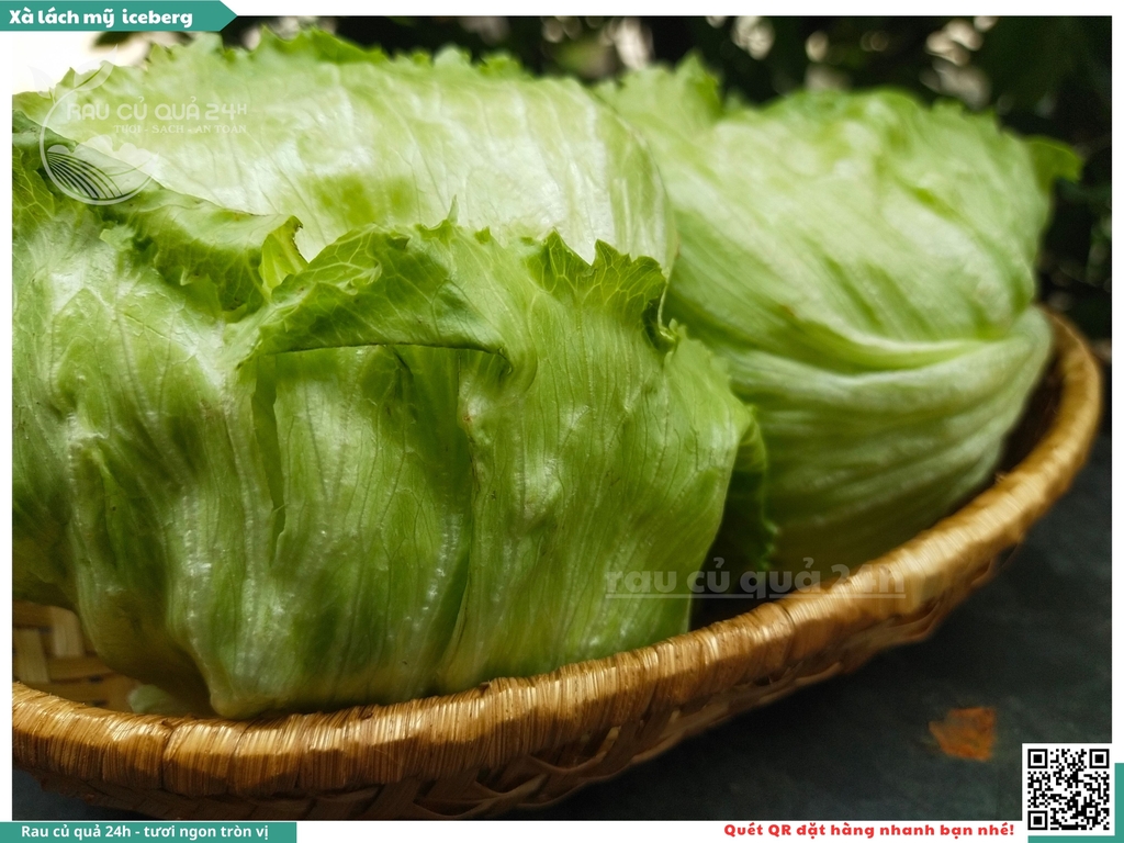 Xà lách Mỹ Iceberg 1 cây khoảng 250 - 400g