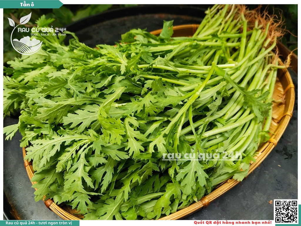 Rau Tần ô (Cải Cúc)