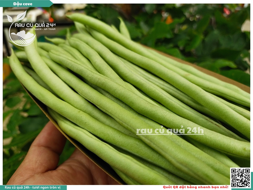 Quả Đậu cô ve - 400g