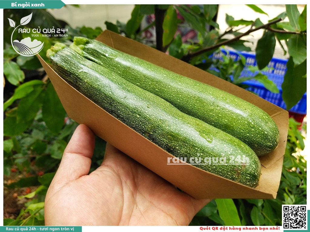 Bí Ngòi xanh 2 quả khoảng 600 - 800g