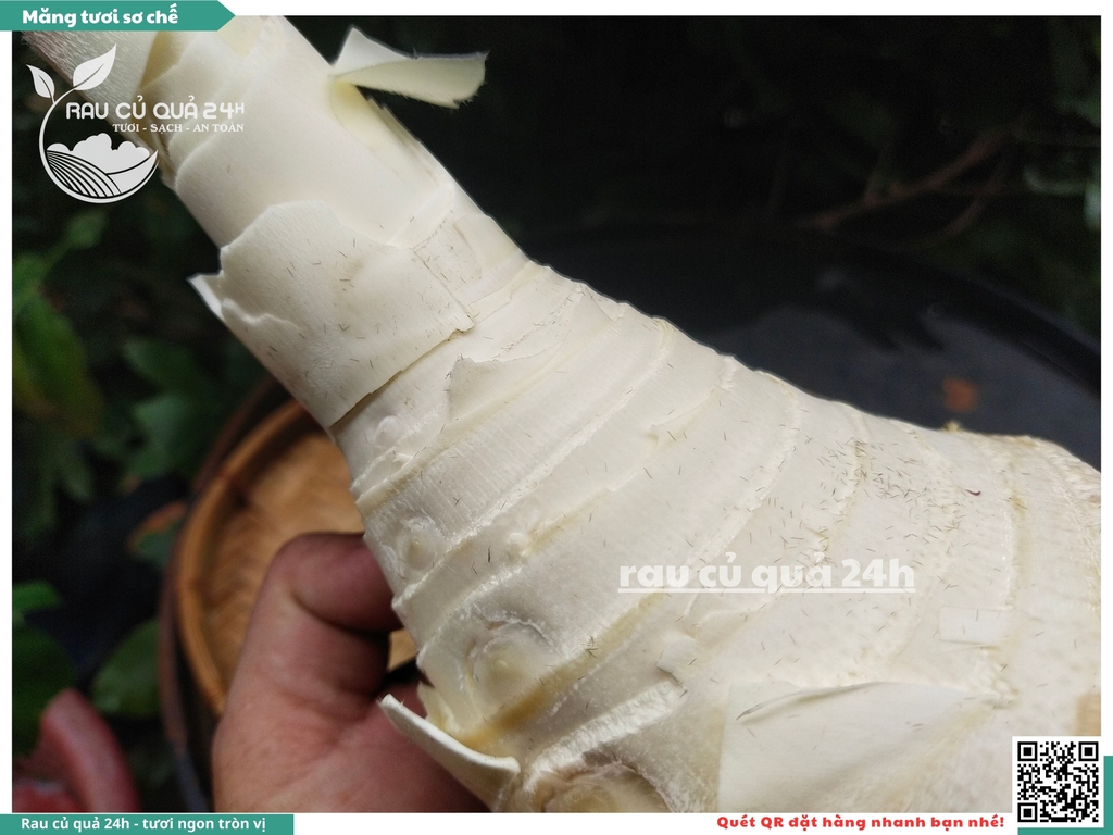Măng tươi sơ chế - 1 cây