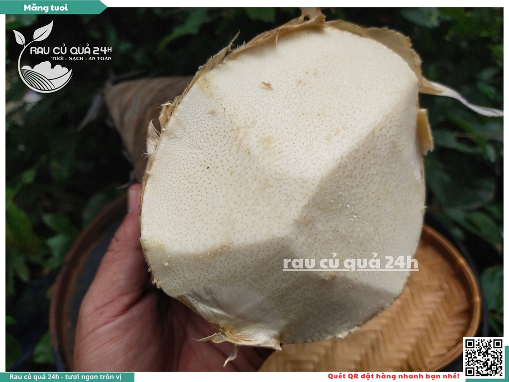 Măng tươi - 1 cây