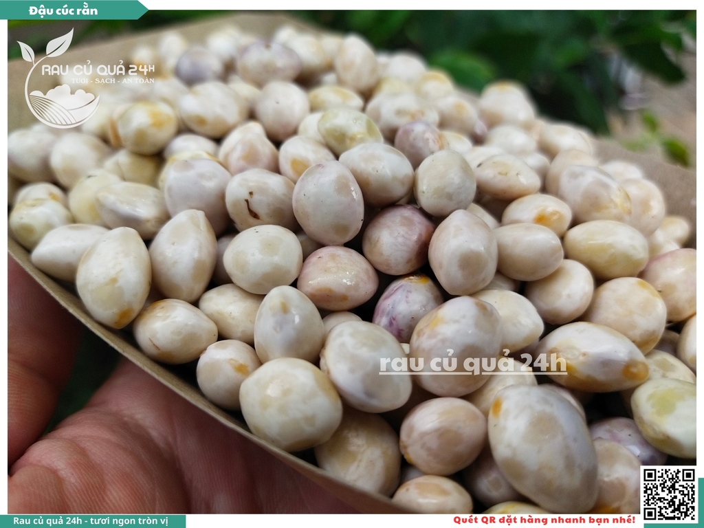 Đậu cúc rằn tươi - 170g