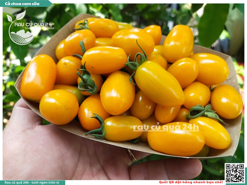 Cà chua cherry cam sữa - 500g